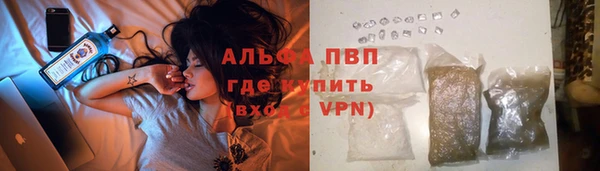 гашик Армянск